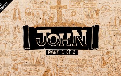 John 1-12